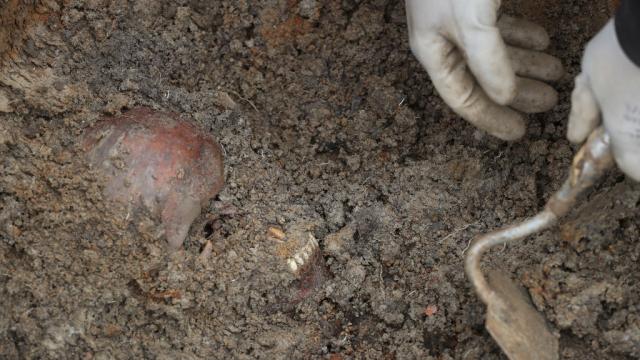 Археолози се натъкнаха на стена от 119 човешки черепа в Мексико