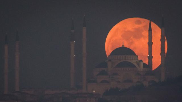 Вижте какво се случва с мъжете и жените след пълнолуние