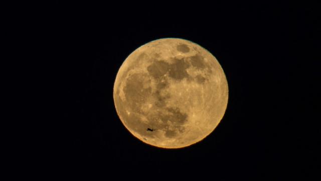 Синя Луна ще се наблюдава през август