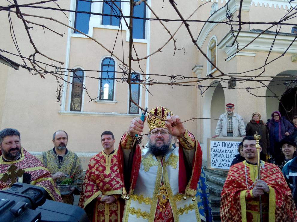 Врачанският митрополит Григорий днес поряза лозята.