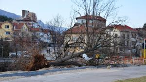 Вятър Враца