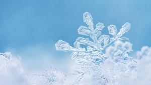 сняг снежинка