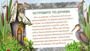 Русе РИОСВ