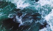 Снимка: unsplash.com