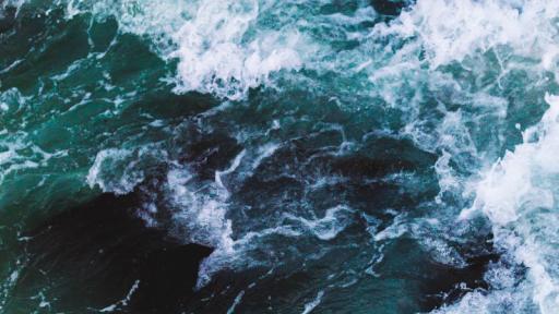  <p>Варненското езеро е нечисто с органични вещества&nbsp;&nbsp;</p> 