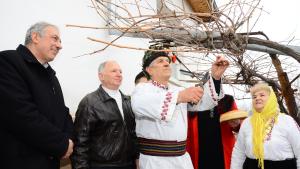 Трифон Зарезан Видин Капитановци