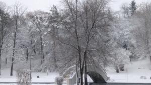 зима Добрич