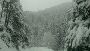 заснежени пътища