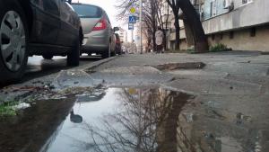 валежи мокро времето