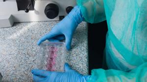 антибиотици микроскоп