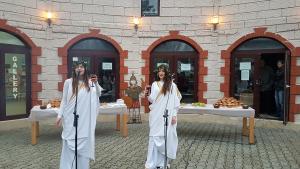 Мездра празник