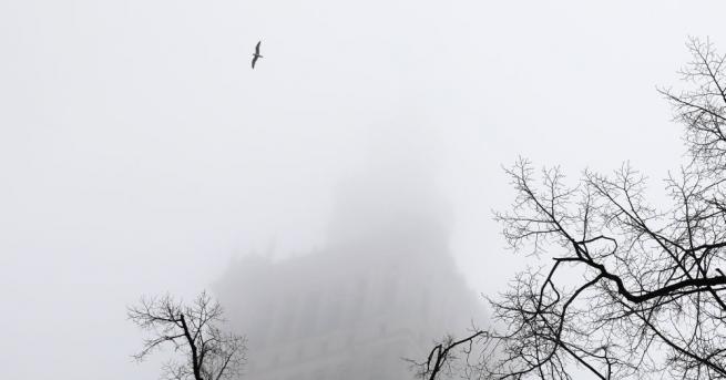 Около 40 000 поляци умират годишно в резултат на смога
