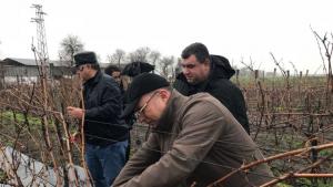 Румен Порожанов