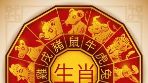 Какво ни очаква в Годината на Коня: Защо китайският зодиак е важен за милиони хора