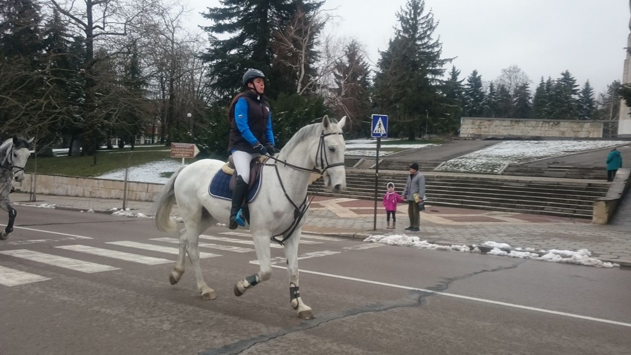 На утрешния празник, Тодоровден на закрития манеж на хиподрума ще се проведат и традиционните конни надбягвания