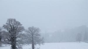 снеговалеж