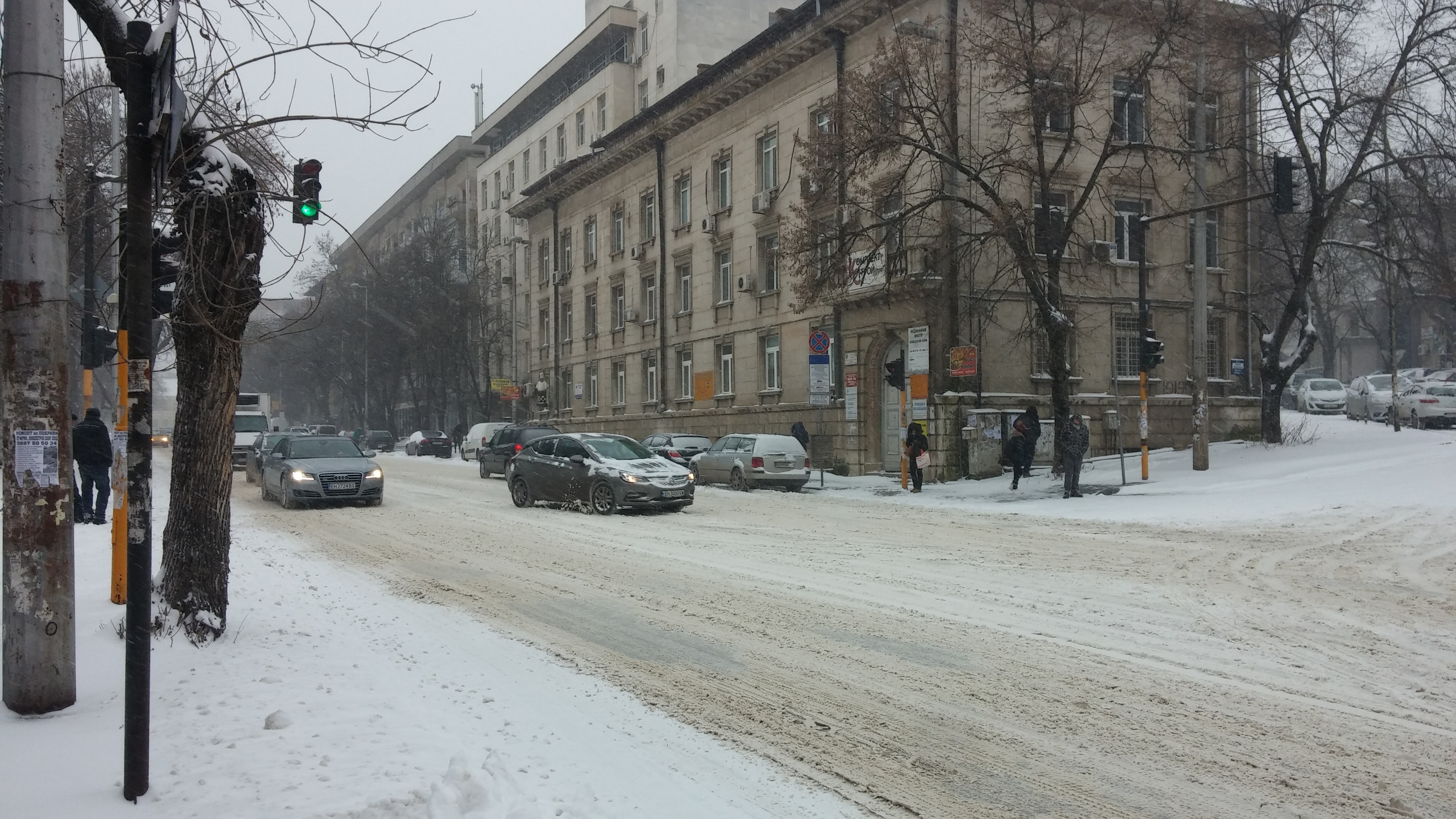 Снегът в Плевен напомни освен за студеното време, но и за красотата на зимата