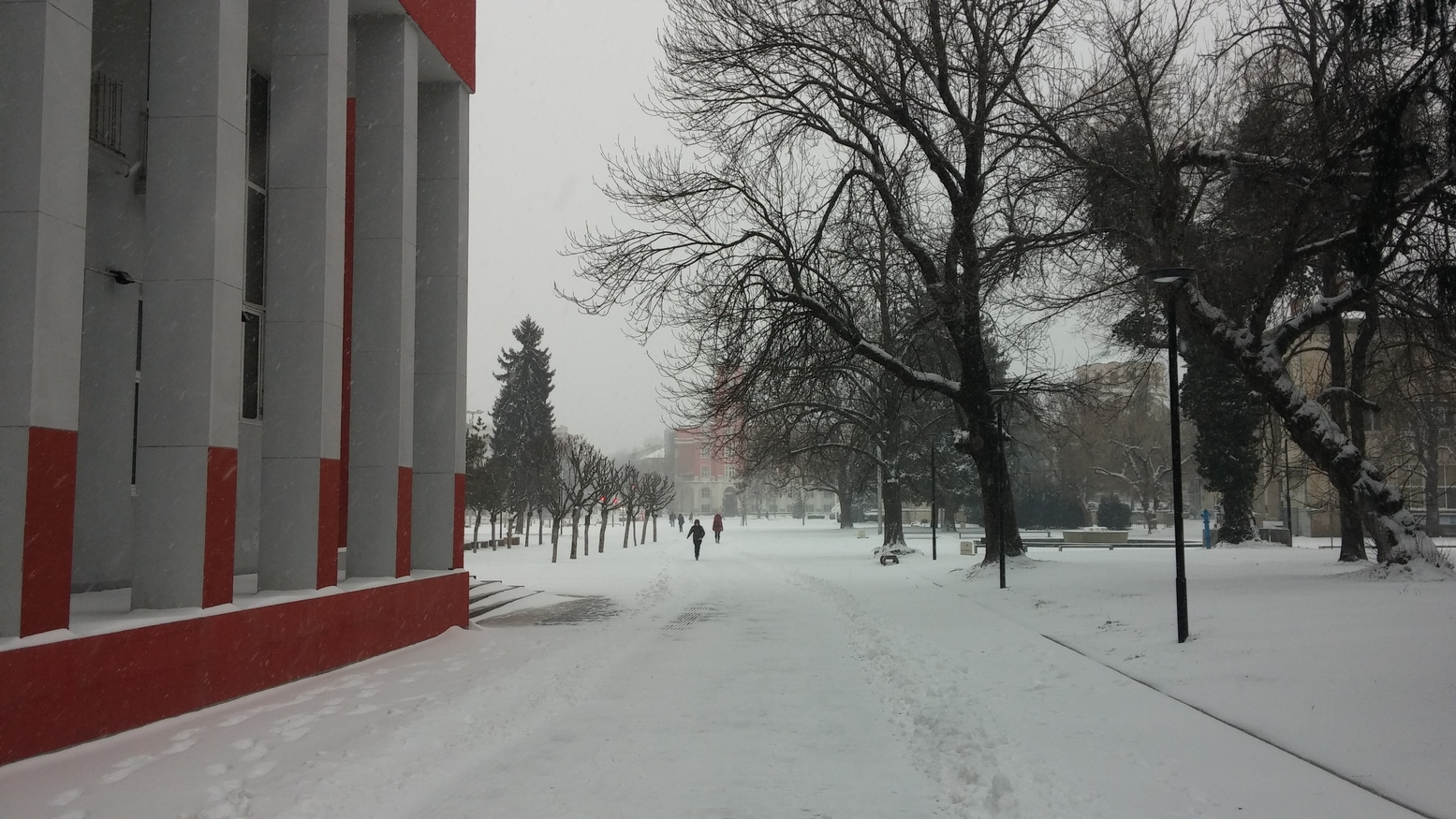 Снегът в Плевен напомни освен за студеното време, но и за красотата на зимата