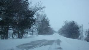 зима добрич