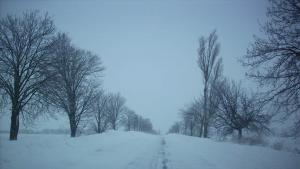 зима силистра