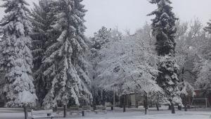 зима добрич