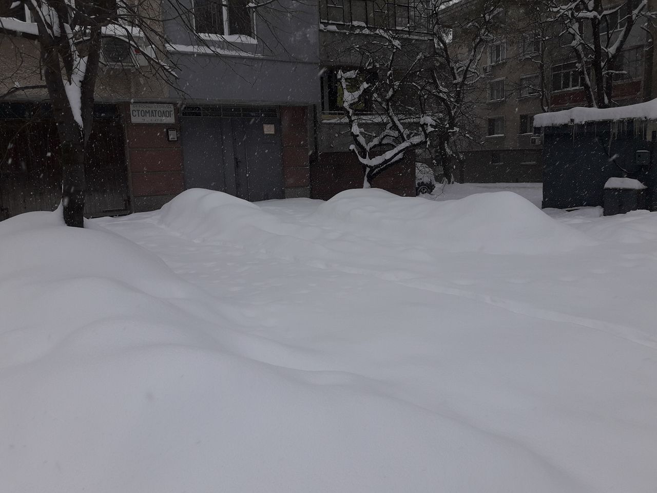 Новата 25-сантиметрова покривка, която падналият през нощта сняг натрупа на територията на цялата община и продължаващият снеговалеж, създават затруднения на фирмите, които са изкарали по улиците и пътищата всички машини, пригодени за снегопочистване.