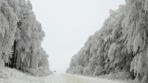 сняг зима