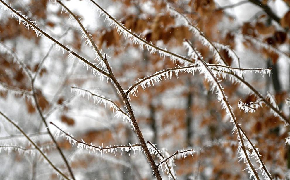  Полша неприятно време 