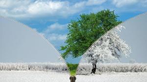 времето зима