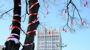 мартеница Видин