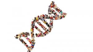 родословно дърво ДНК