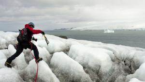 Антарктида