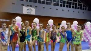 гимнастички