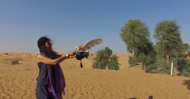 Хищните птици днес продължават да стават жертва на арабските ловци