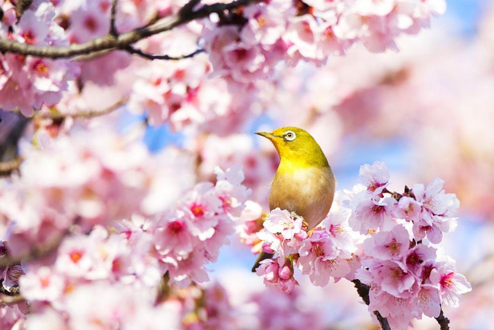  пролет време 