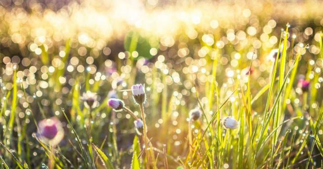 През нощта ще преобладава ясно време с минимални температури между