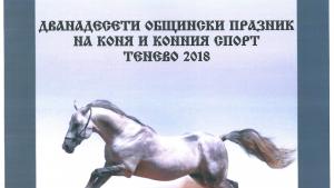 Празник на коня