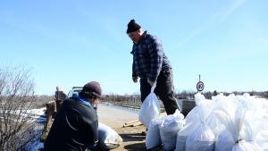 речни нива Видинско