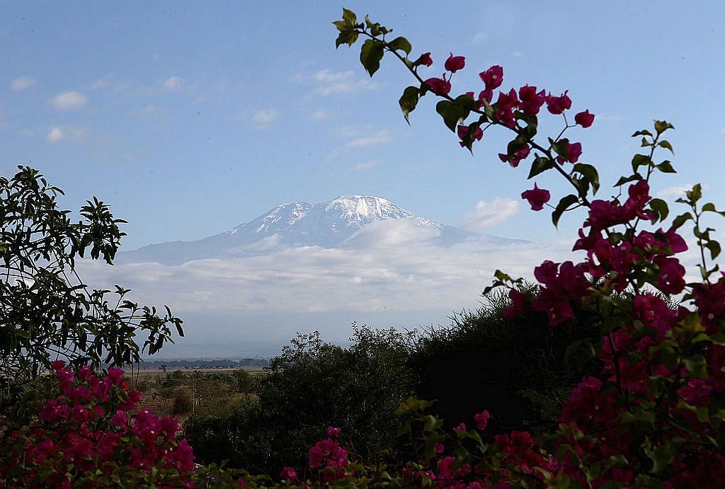 <strong>Килиманджаро </strong><br>
<br>
Килиманджаро е един от най-достъпните гиганти на планетата. Килиманджаро е планински масив в Североизточна Танзания, образуван от три изгаснали вулкана – Шира на запад с надморска височина 3962 м, Мауензи на изток с височина 5149 м и геоложки най-младият Кибо, разположен между тях, чийто най-висок връх Ухуру има височина 5892 метра и е най-високата точка в Африка. Освен като най-високата планина на континента, Килиманджаро е известен и със своята ледникова шапка, която прогресивно намалява от началото на 20 век и е възможно да изчезне напълно през следващите десетилетия.