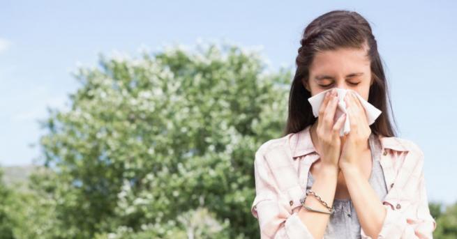След грипа и есенно-зимните вирусни инфекции идва ред на алергиите,