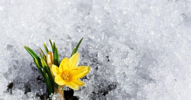 Астрономическата пролет идва със студено време Нов зимен пристъп ще