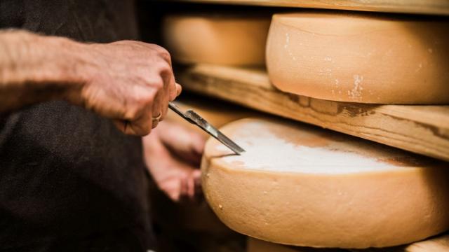 Откриха най-стария кашкавал в света - на над 3200 години (СНИМКИ) 