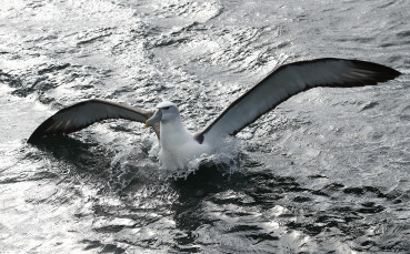 Gulliver/Getty Images