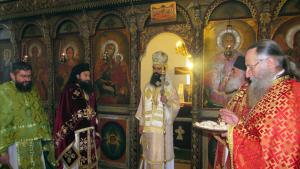 Видински митрополит Данаил