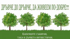 кампания дръвче по дръвче
