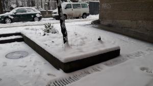 цветен сняг