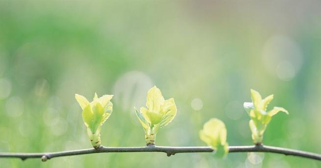 Днес от запад облачността ще се снишава и в следобедните