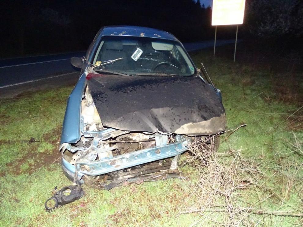  злополука край Кочериново 