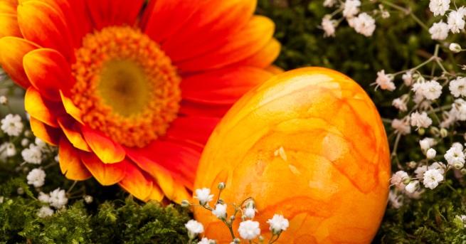 Ние сме големи почитатели на класическите методи за боядисване на