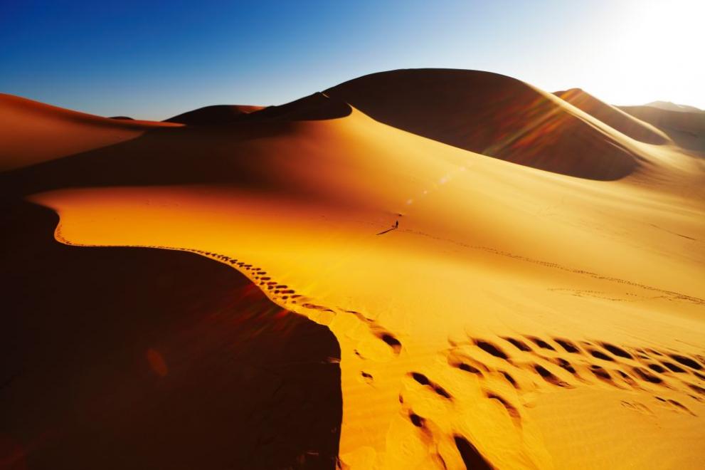  пустиня Сахара 